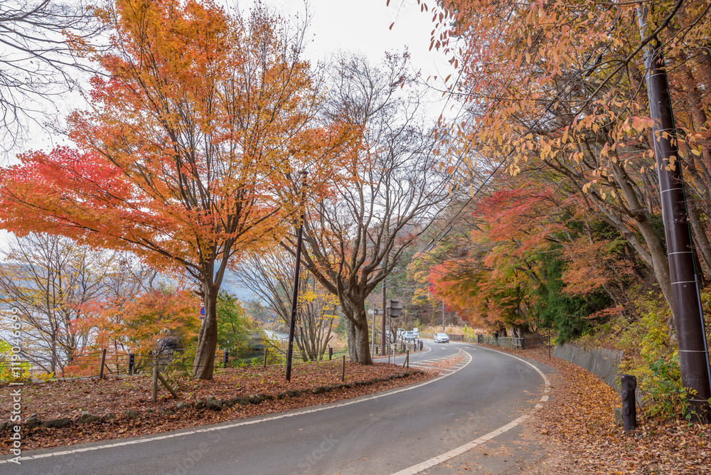 autumn in Kawaguchiko