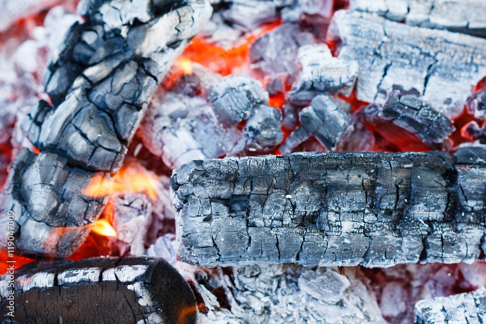 Coals of campfire closeup