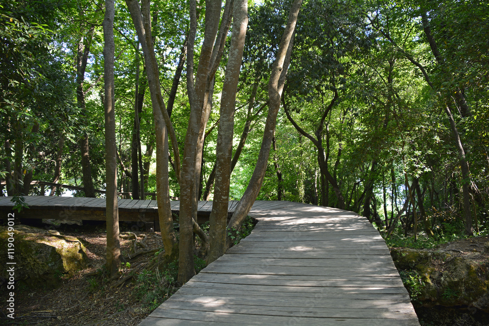 A wooden walkway on the River Krka in Krka National Park, Sibenik-Knin County, Croatia. It is part of the    part of the 1900m Skradinski Buk Waterfall trail
