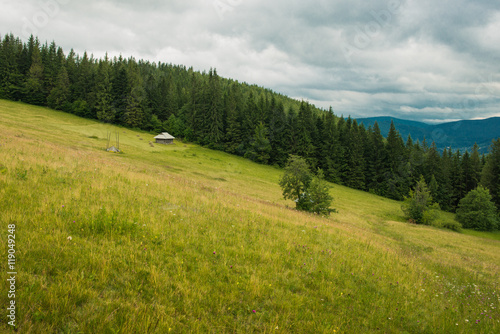 Carpatian mountains landscape views at summer time