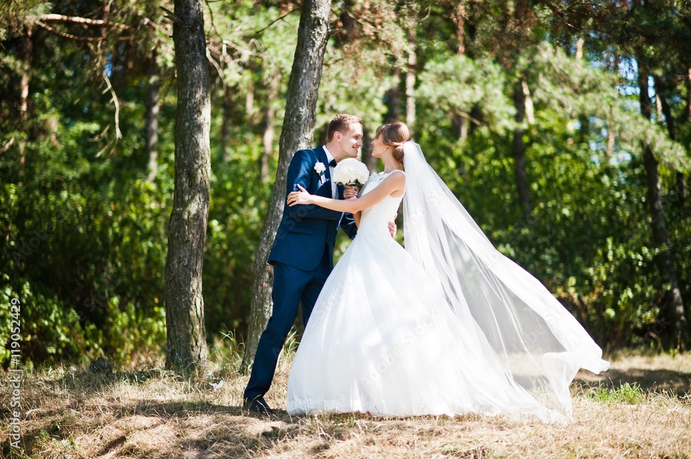 Lovely wedding couple at sunny day on pine wood forest
