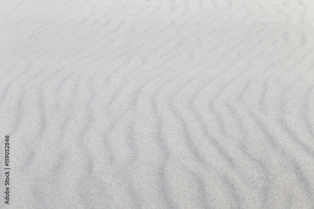Sea sand dunes, selective focus Sea sand dunes, selective focus