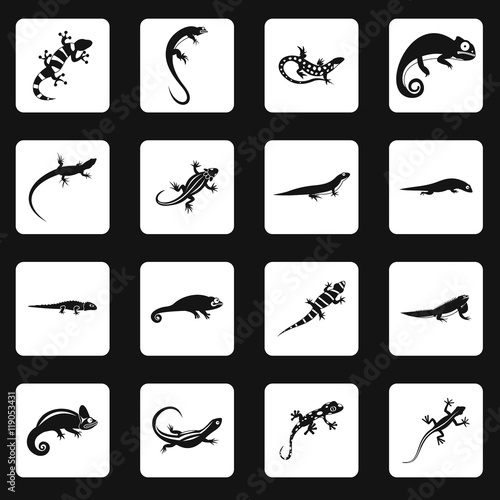 Amphibian icons set in simple style. Reptiles set collection vector illustration