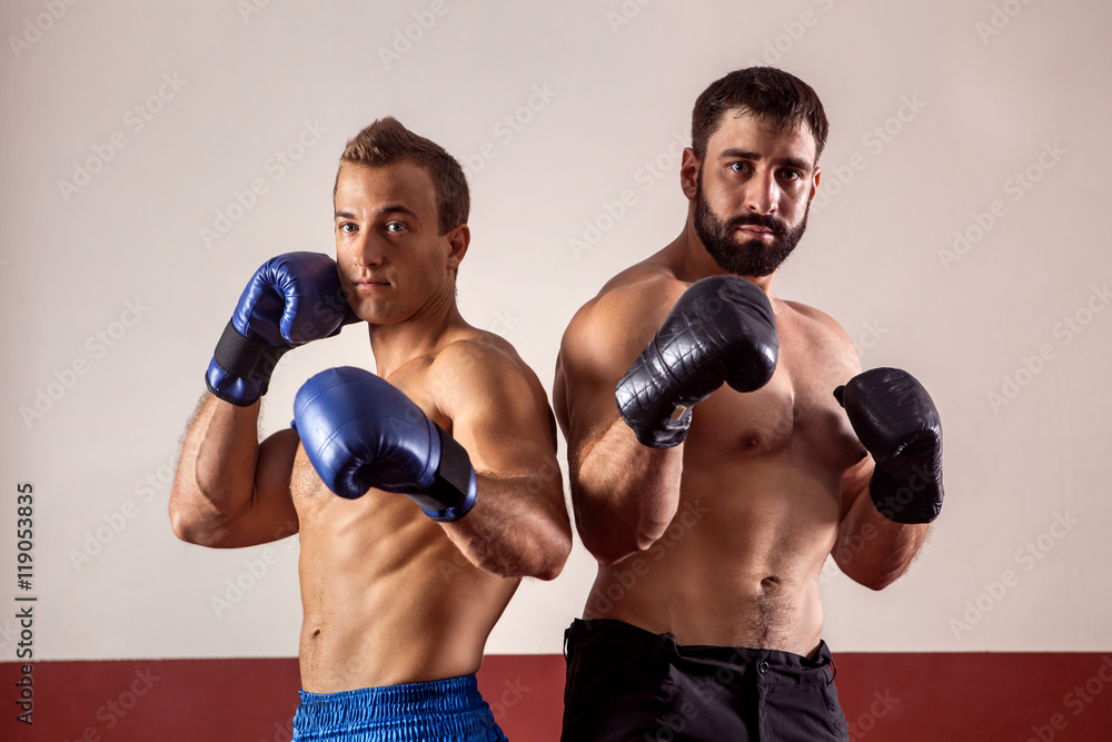 Muscular boxers in boxing gloves are ready for fight.