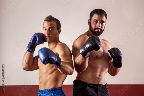 Muscular boxers in boxing gloves are ready for fight.