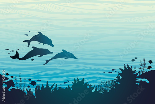 Silhouette of tree dolphins and coral reef.