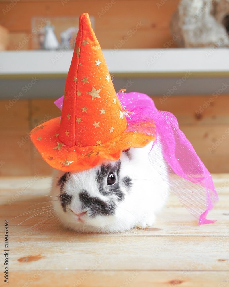 Obraz premium Adorable Halloween Rabbit, wearing an orange witch hat, selective focus. Concept for Halloween