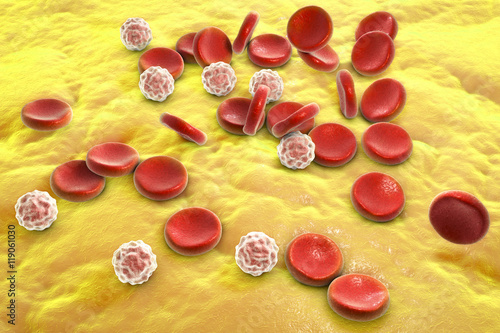 Blood cells: red blood cells (erythrocytes) and white blood cells (leukocytes). 3D illustration