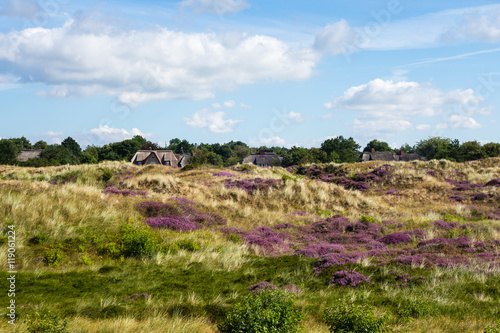 Dünenblick St. Peter-Ording photo