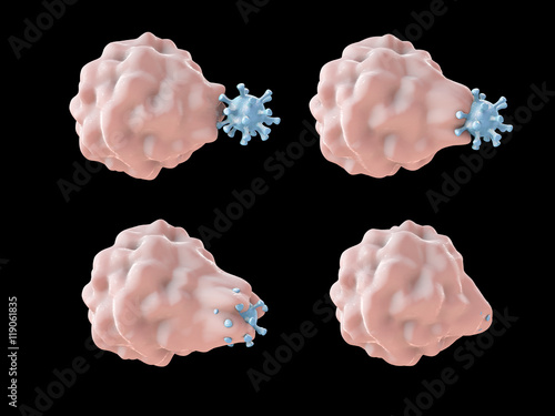 White blood cell engulfing a virus, 3D illustration showing stages of phagocytosis photo