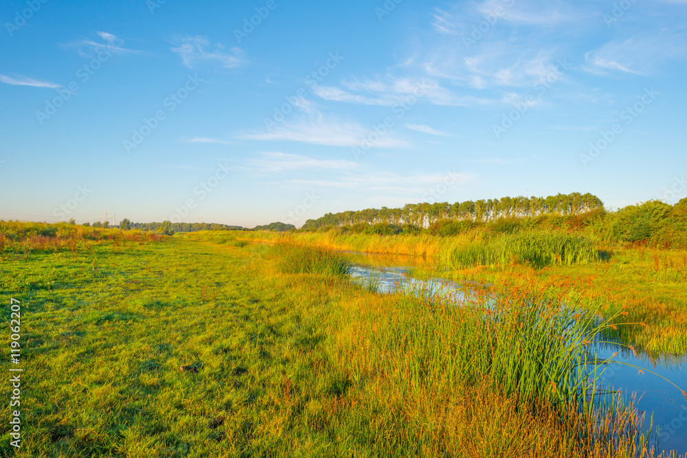 Shore of a lake during the golden hour