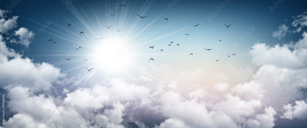 Naklejka Burzliwe niebo, słońce i odlatujące ptaki