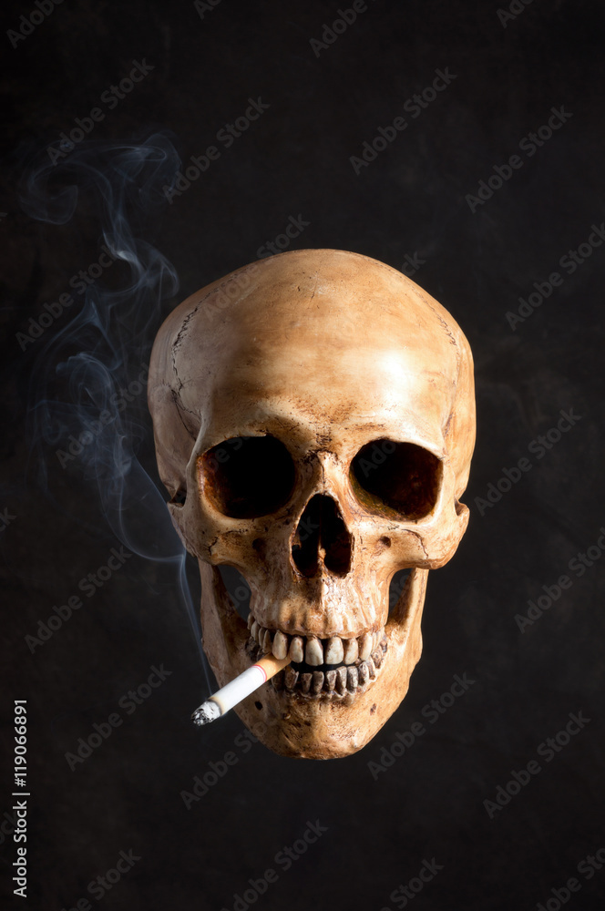 human skull on dark background smoking the cigarette with some smoke human skull on dark background smoking the cigarette with some smoke