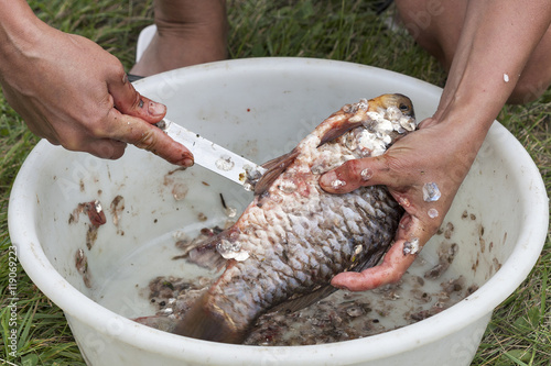 Obraz na plátne gutting and cleaning fish closeup