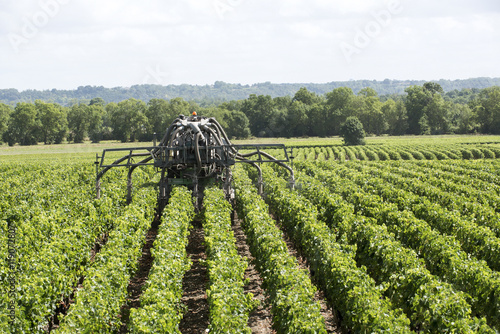 Принти на полотні Medoc France August 2016 - A straddle tractor spraying vines in the Medoc region