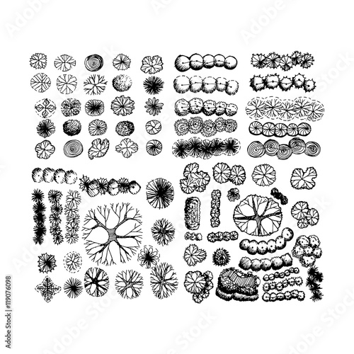 Tree top view  landscape illustration design