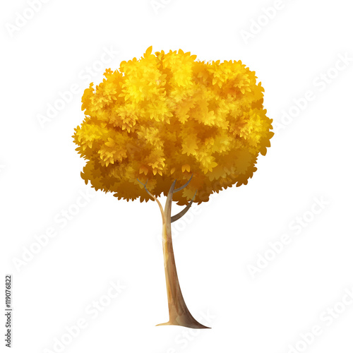 Isolated Autumn Tree