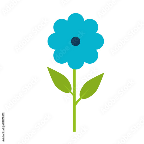 beautiful blue flower plant floral natural  gardening spring vector illustration