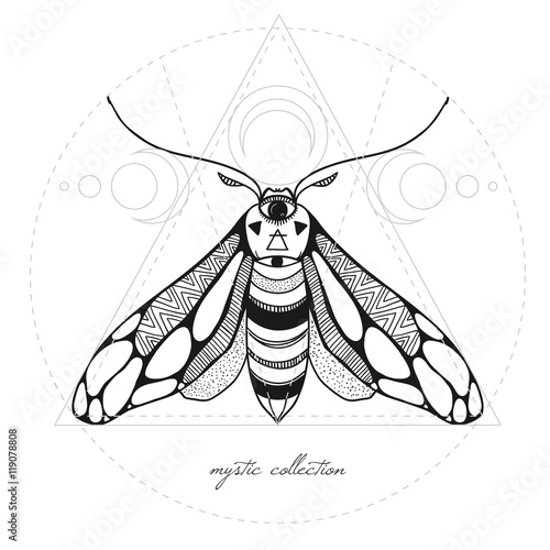 mystic moth vector illustration