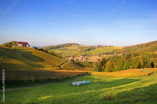 Weinberge in der Südsteiermark photo