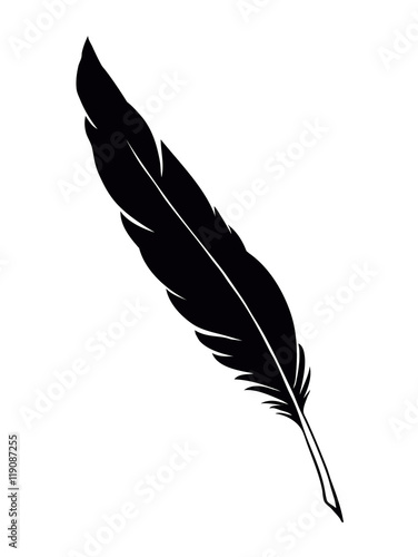 Vector drawing dark bird feather