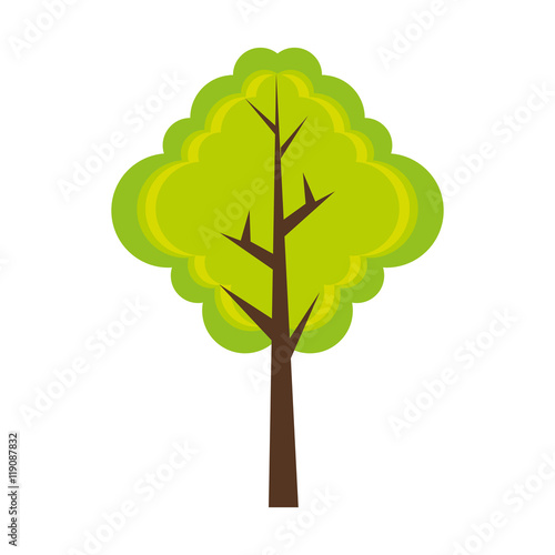tree tall plant green trunk brown leaves vector illustration