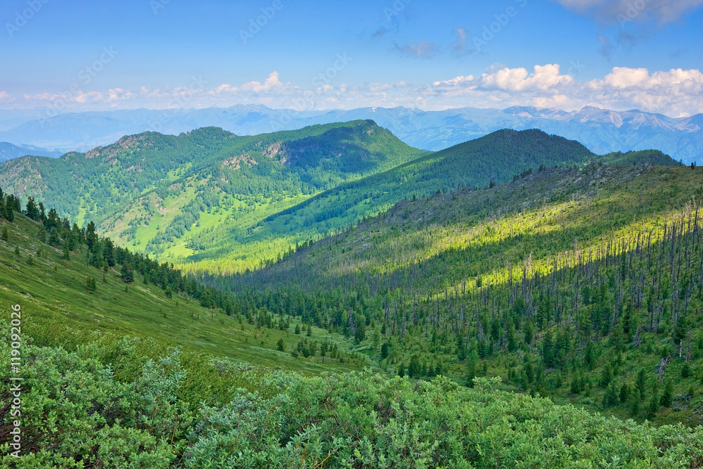 Fototapeta premium Mountains covered with the wood with sunlight spots.