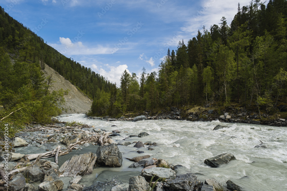 Rough mountain river in valley among rocky shores and larch trees on a background of mountains under the blue sky and white clouds. Katun and Beluha, Altai Mountains, Siberia, Russia. Rough mountain river in valley among rocky shores and larch trees on a background of mountains under the blue sky and white clouds. Katun and Beluha, Altai Mountains, Siberia, Russia.