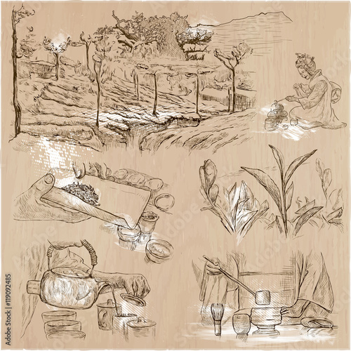 Tea Processing. Agriculture. An hand drawn vector illustration.
