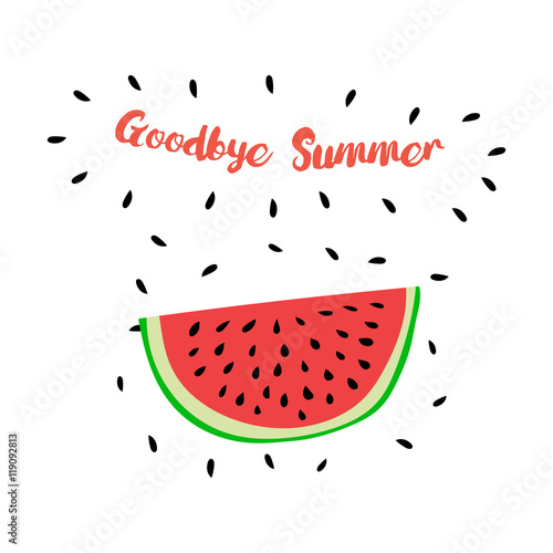 Vector print with watermelon and hand writing quote Goodbye Summ