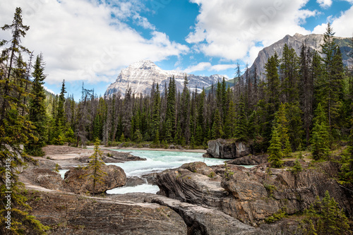 Natural Bridge area, Yoho National Park, British Columbia, Canada. The powerful currents of the Kickinghorse River, over time, created natural bridges through the rock.
