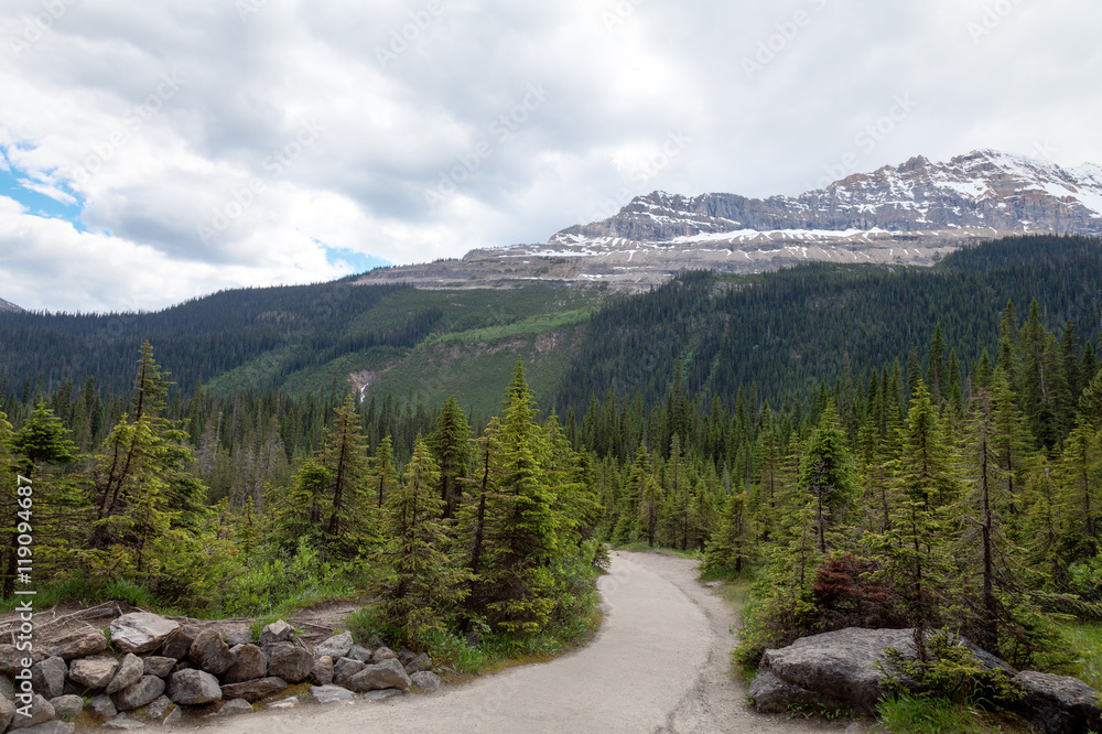 Obraz premium Yoho National Park, British Columbia, Canada. Spectacular landscapes of mountains and creeks and streams are almost everywhere in this magnificent National Park