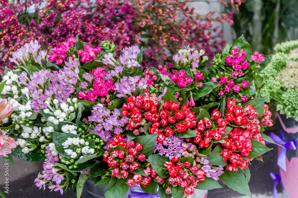flower market, bright vivid colorful fresh flowers