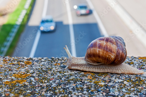 Konstfotografi Snail and cars