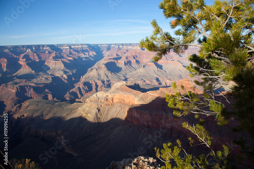 Canyon Morning