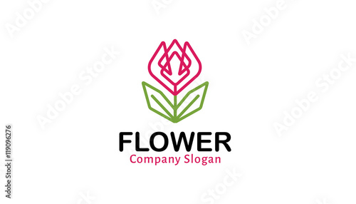 Flower Logo Design Illustration