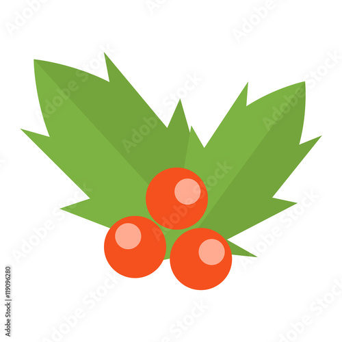 European christmas berry holly ilex aquifolium leaves and fruit. Floral branch red xmas winter decor christmas berry symbol. Vector decorative holly christmas berry leaf traditional ornament symbol.