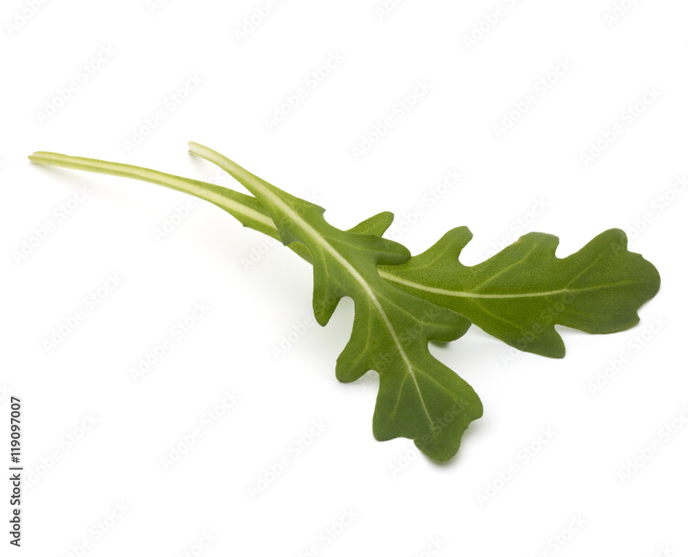Sweet rucola salad or rocket lettuce leaves isolated on white ba Sweet rucola salad or rocket lettuce leaves isolated on white ba