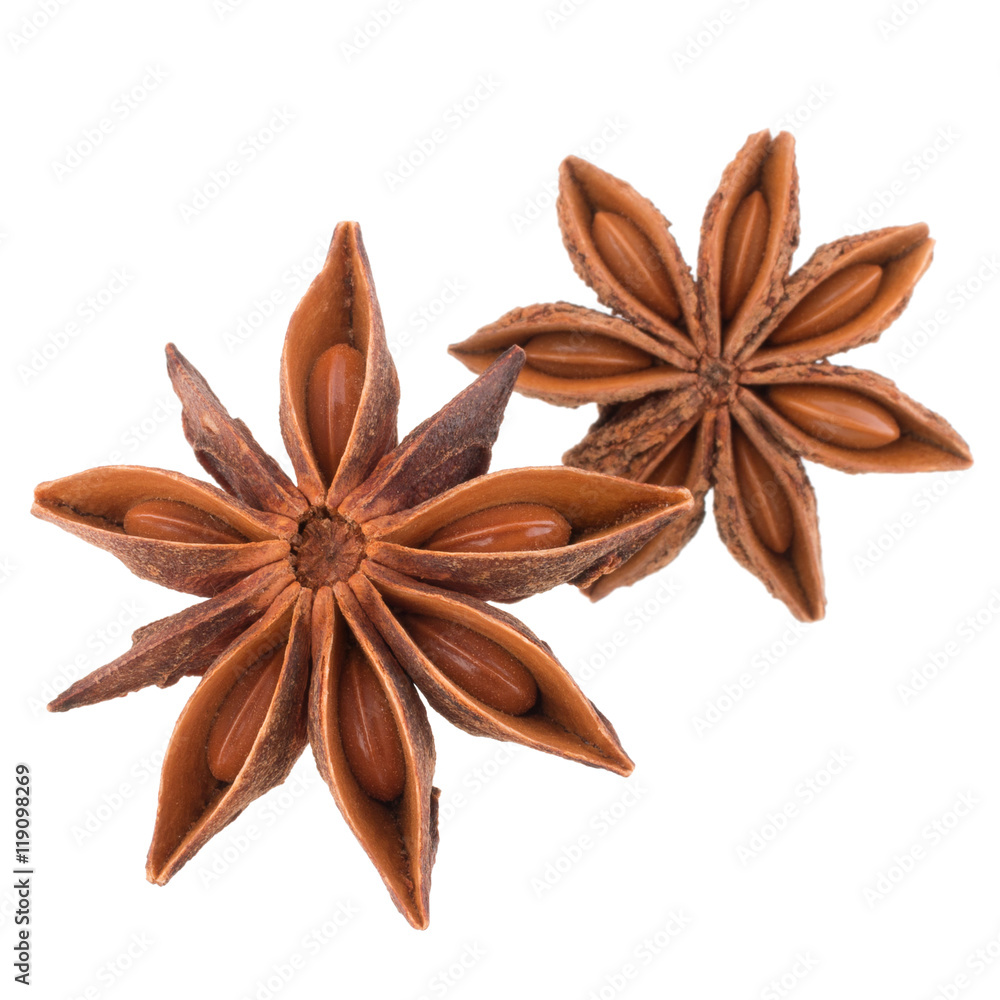 star anise spice isolated on white background closeup star anise spice isolated on white background closeup