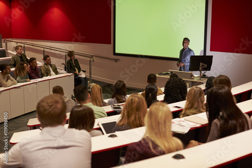 Wallpaper Mural Young adult students at a university lecture, back view Torontodigital.ca