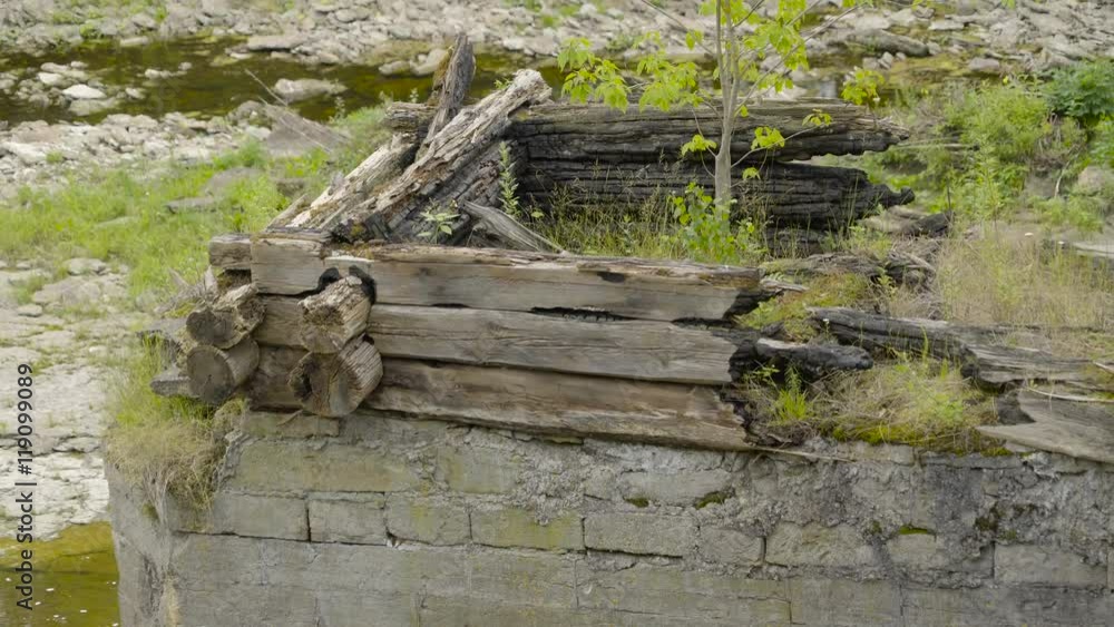 The broken log on the top of the cement with lots of plants and trees on the back The broken log on the top of the cement with lots of plants and trees on the back