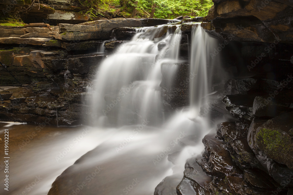 Fototapeta premium Saturated Waterfall