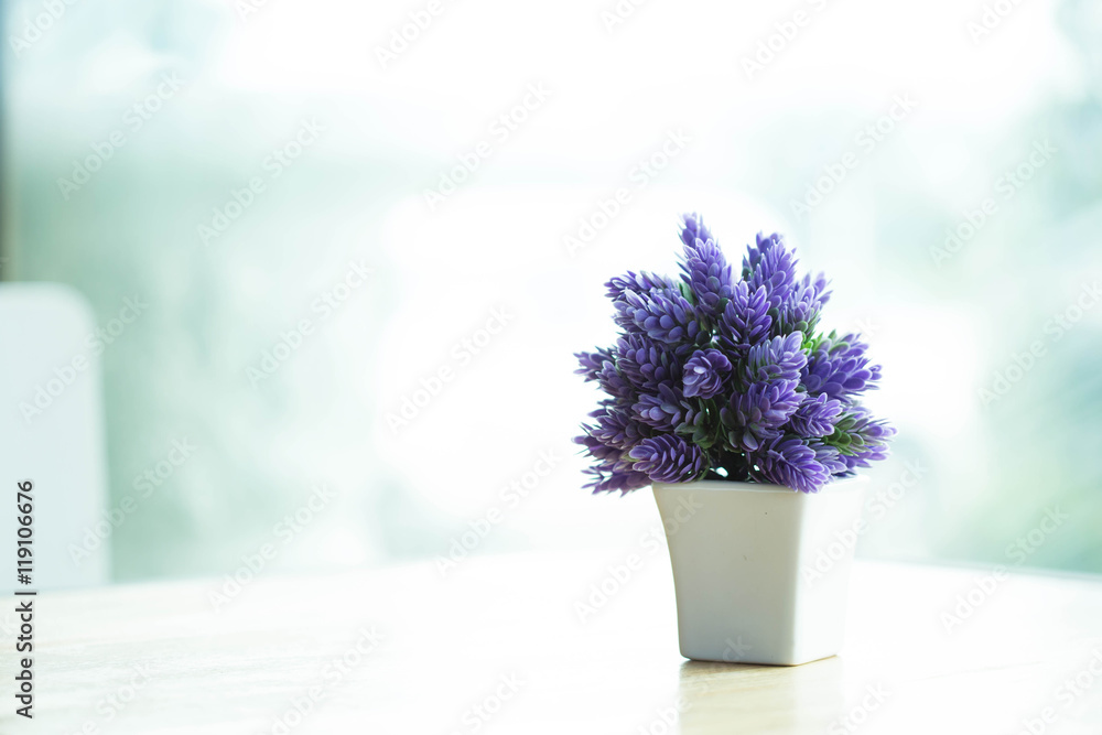 Indoor plant pot on the table Indoor plant pot on the table