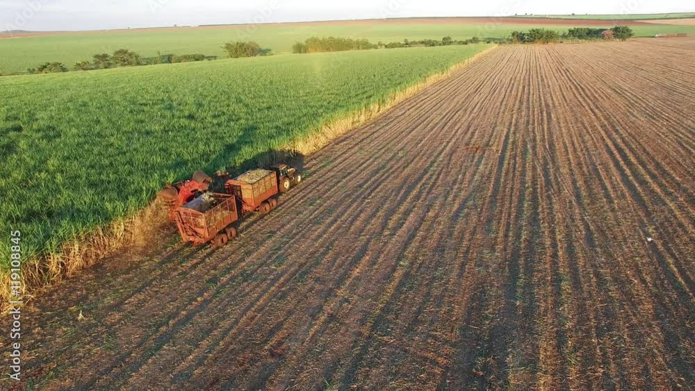 Cane Fallowing Mechanical harvesting sugar cane field in Sao Paulo Brazil at sunset ...