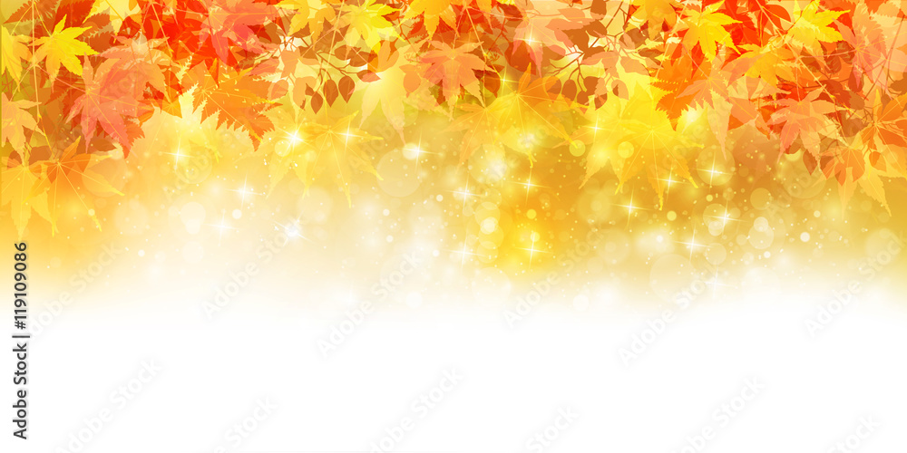 Fototapeta premium Jesień liści jesieni krajobrazu tło