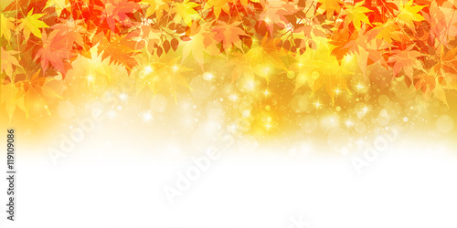 紅葉　秋　風景　背景