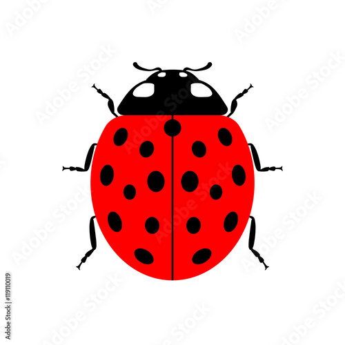 Ladybug small icon. Red lady bug sign, isolated on white background. Wildlife animal design. Cute colorful ladybird. Insect cartoon beetle. Symbol of nature, spring, summer. Vector illustartion © alona_s