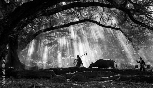 Photography the farmer in yangjiaxi
