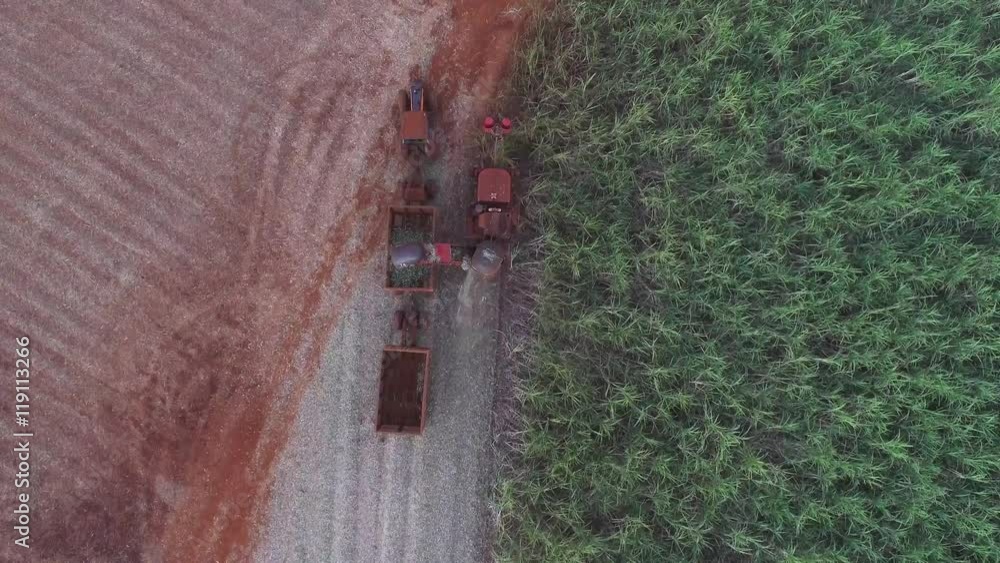 Cane Fallowing Mechanical harvesting sugar cane field at sunset in Sao Paulo Brazil ...