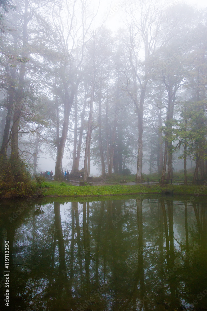 Cold foggy day at lake in Alishan National Park